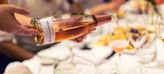 Champagne üde arca című cikk borítóképe
