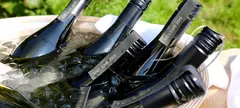 Ries-Link 2015 című cikk borítóképe