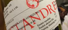 Méltósággal idősödni című cikk borítóképe