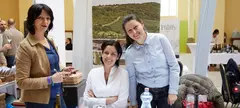 Helló, hogy vagy, Furmint? című cikk borítóképe