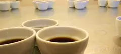 24 kávé 8 perc alatt című cikk borítóképe