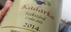 Túlélő kadarka című cikk borítóképe