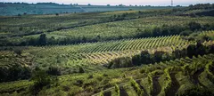 Ébred a Mátra című cikk borítóképe