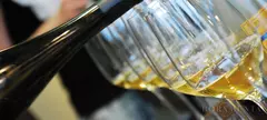 Furmint is coming című cikk borítóképe