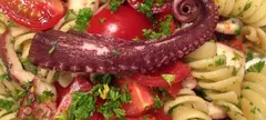 Polip, ahogy mi a Mátrában szeretjük című cikk borítóképe