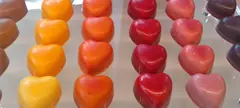 Hétvége Brüsszelben 1. című cikk borítóképe