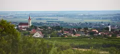 Szólóban is megy című cikk borítóképe